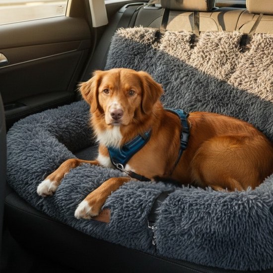 Een bruine Nova Scotia Duck Tolling Retriever met een blauw tuigje ligt op een donkergrijs, pluizig hondenbed in de auto.