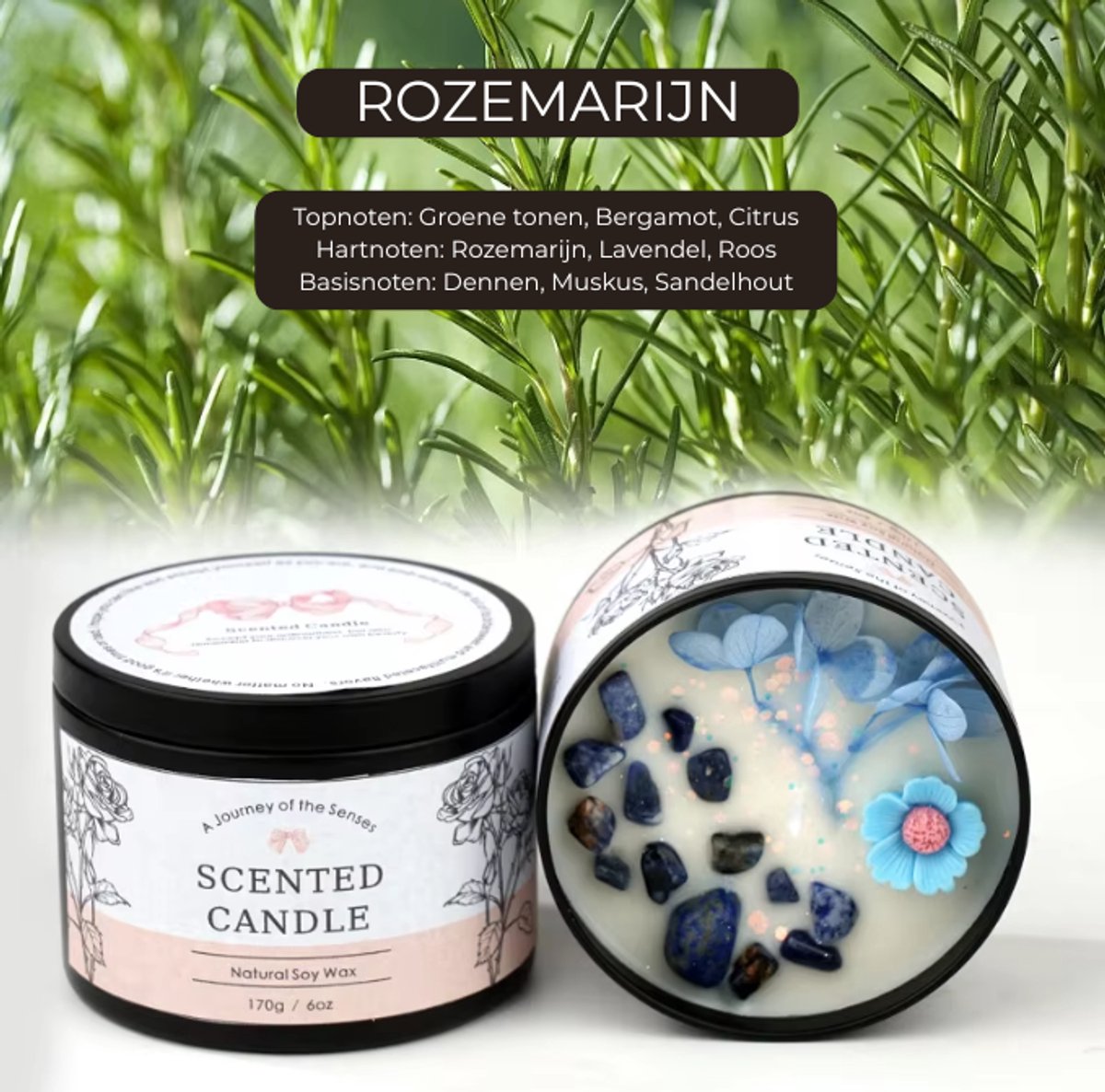 Luxe Geurkaars Rozemarijn – Sojawas Scented Candle 170g – Frisse Kruidengeur met Citrus & Sandelhout – Aromatherapie Kaars voor Woonkamer en Badkamer