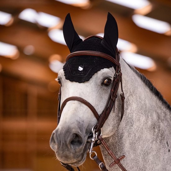 Paard met een zwart oornetje en bruine lederen hoofdstel.