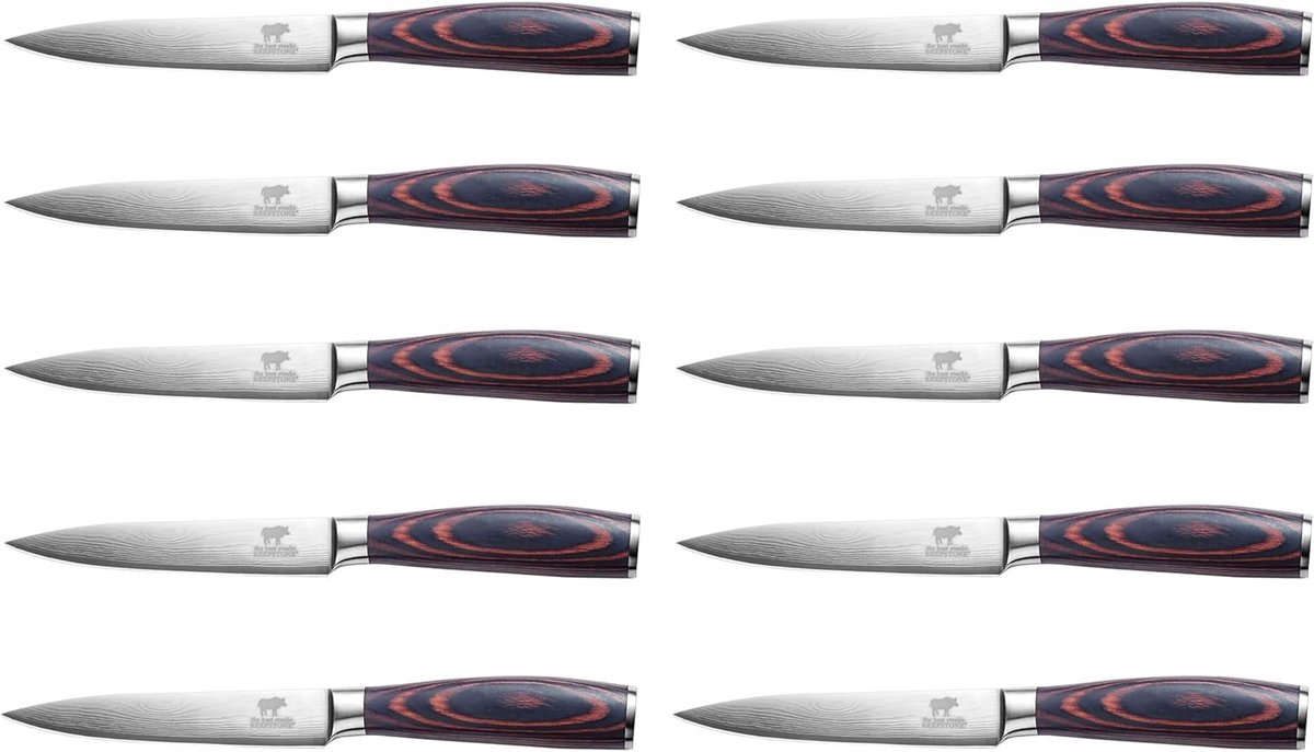 Steakmessenset 10 Delen met Ergonomisch Houten Handvat voor Vlees en Biefstuk