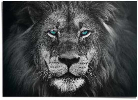 Affiche XXL Lion