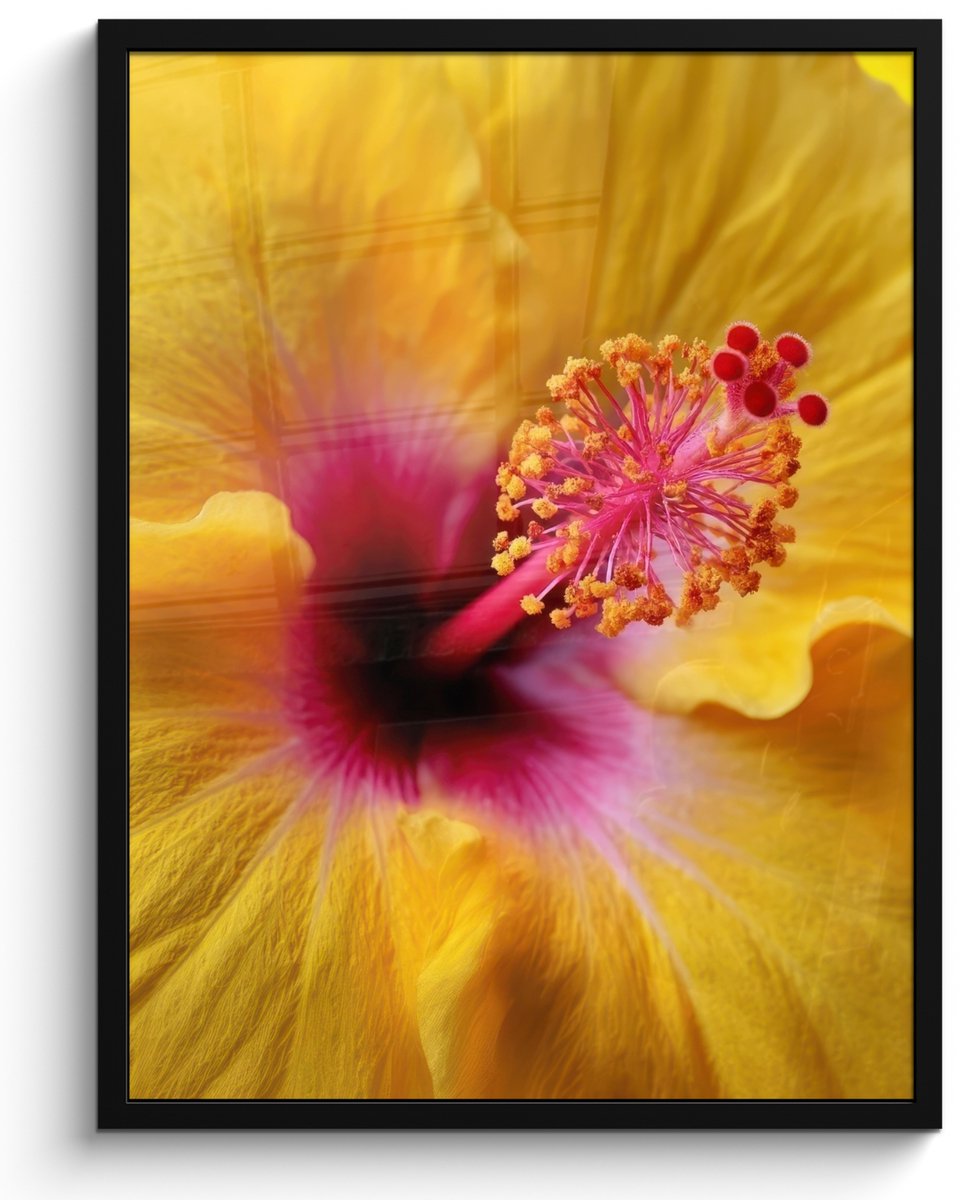 FrameYourWall Poster in lijst - Fotolijst 50x70 cm - Posters - Geel - Hibiscus - Tropisch - Posterlijst zwart - Decoratie - Wanddecoratie woonkamer - Muurdecoratie slaapkamer