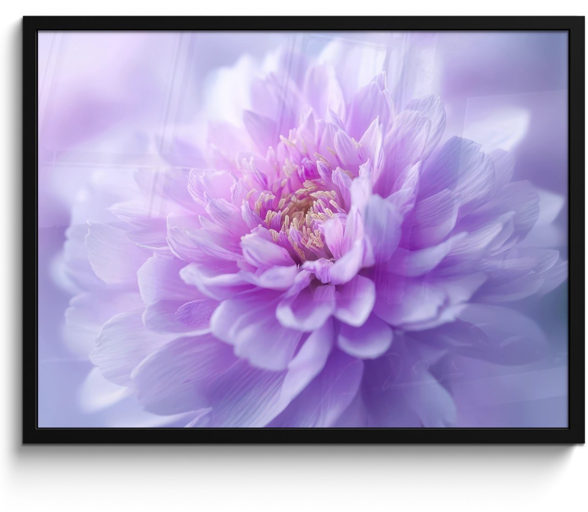 FrameYourWall Poster in lijst - Fotolijst 70x50 cm - Posters - Paars - Dahlia - Dromerig - Posterlijst zwart - Decoratie - Wanddecoratie woonkamer - Muurdecoratie slaapkamer