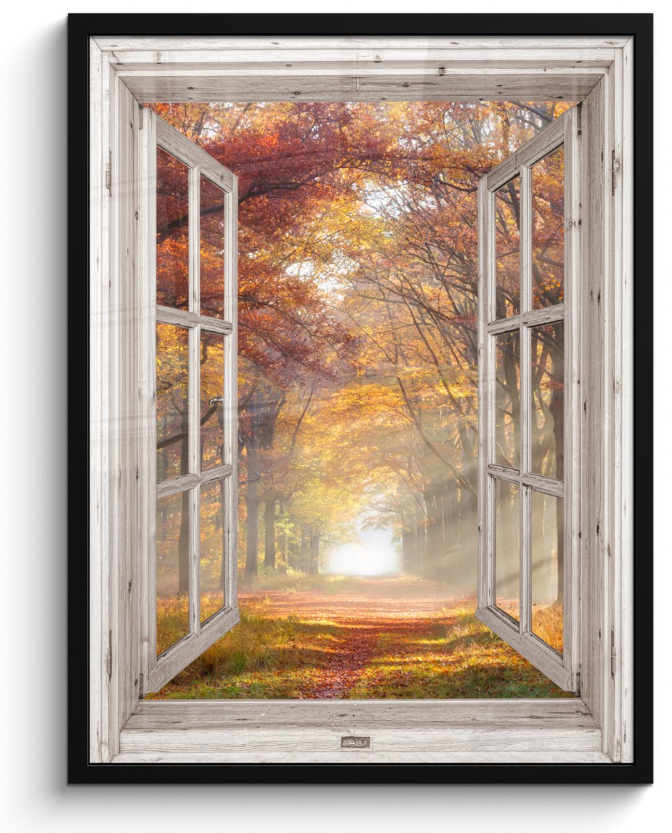 FrameYourWall Poster in lijst - Fotolijst 50x70 cm - Posters - Herfst - Bos - Bomen - Natuur - Doorkijk - Posterlijst zwart - Decoratie - Wanddecoratie woonkamer - Muurdecoratie slaapkamer
