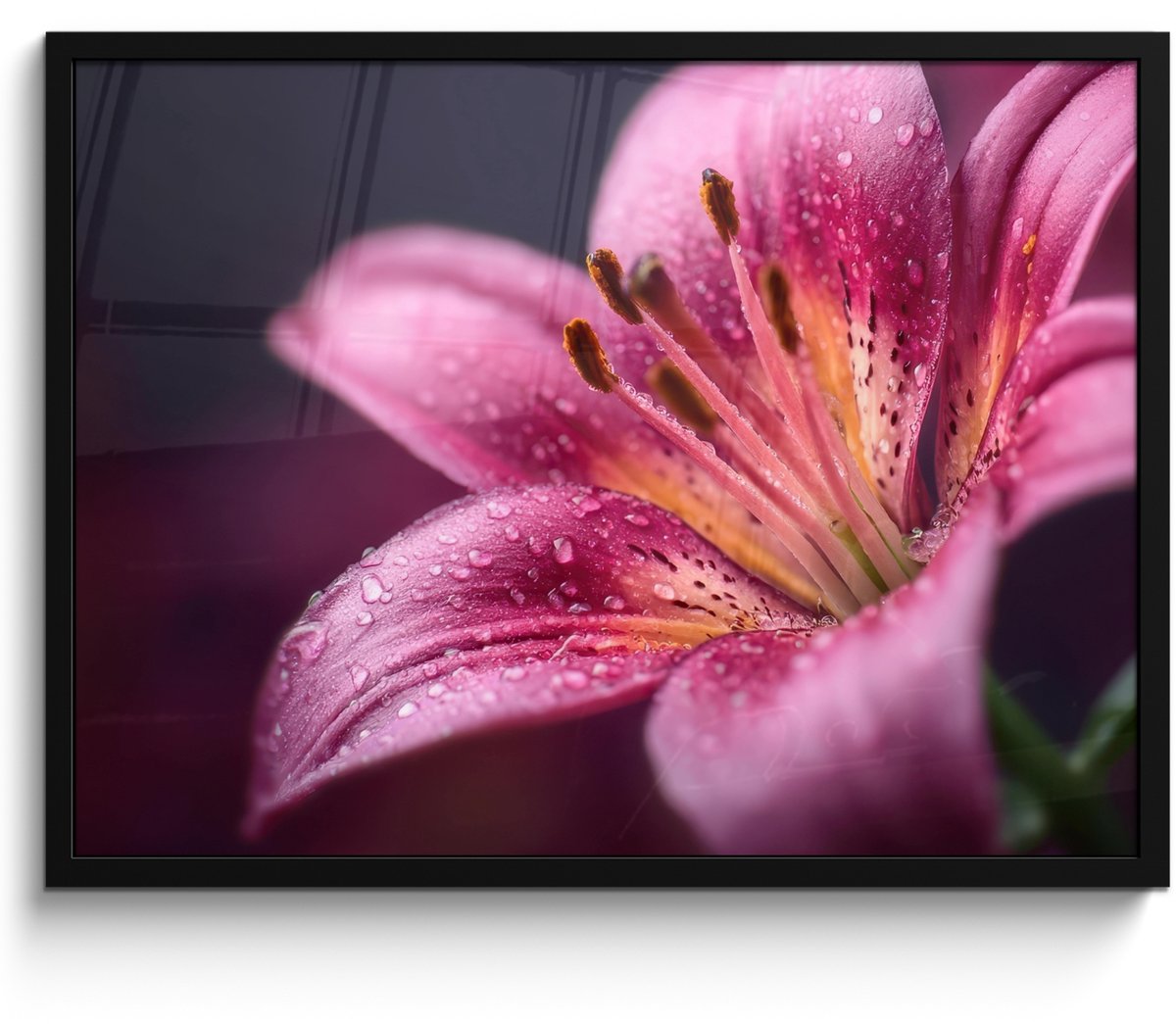 FrameYourWall Poster in lijst - Fotolijst 70x50 cm - Posters - Roze - lelie - Dauwdruppels - Posterlijst zwart - Decoratie - Wanddecoratie woonkamer - Muurdecoratie slaapkamer