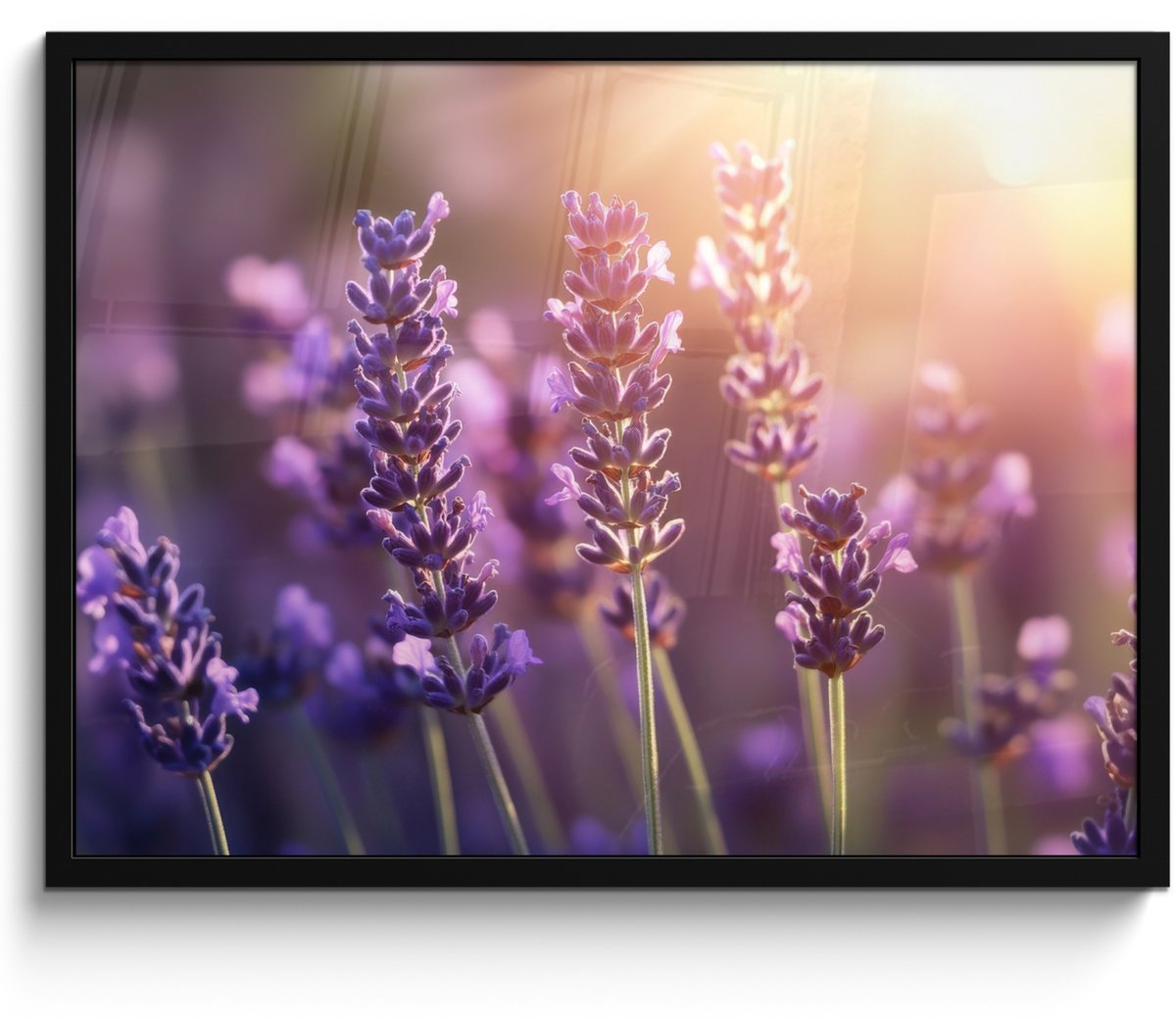 FrameYourWall Poster in lijst - Fotolijst 70x50 cm - Posters - Lavendelbloemen - Paars - Zonlicht - Posterlijst zwart - Decoratie - Wanddecoratie woonkamer - Muurdecoratie slaapkamer