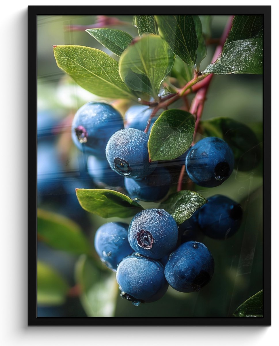 FrameYourWall Poster in lijst - Fotolijst 50x70 cm - Posters - Blauwe bessen - Dauwdruppels - Natuurlijk licht - Posterlijst zwart - Decoratie - Wanddecoratie woonkamer - Muurdecoratie slaapkamer