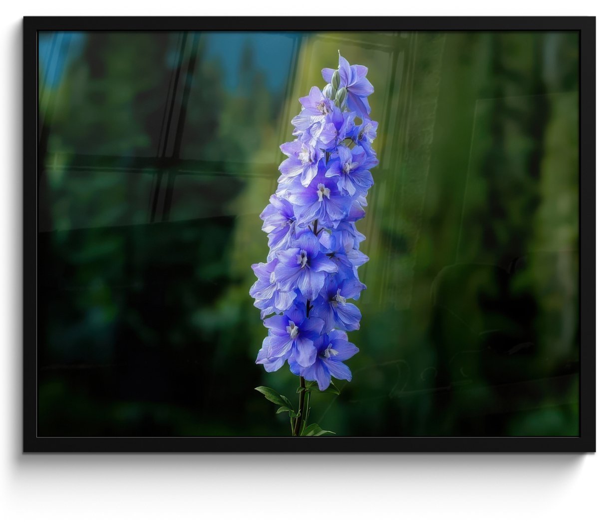 FrameYourWall Poster in lijst - Fotolijst 70x50 cm - Posters - Bloemen - Blauw - Dennenboom - Posterlijst zwart - Decoratie - Wanddecoratie woonkamer - Muurdecoratie slaapkamer