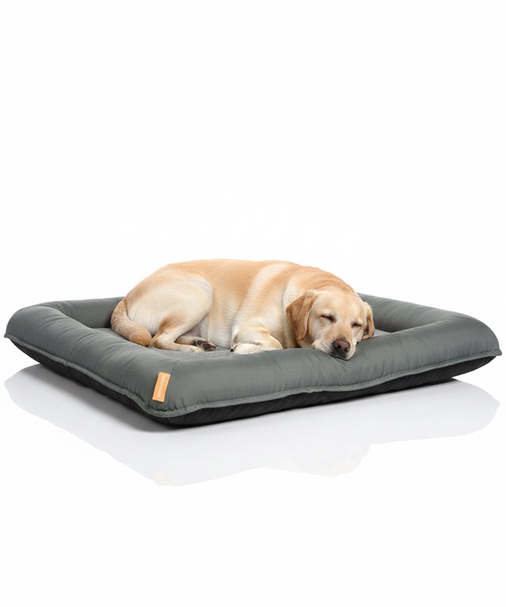 Happysnoots Orthopedische Hondenmand XXL - 10cm Koudschuim