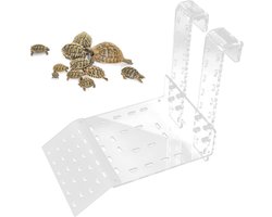 Transparant rustterras voor schildpadden - klimrek en hangbrug voor aquarium - verstelbaar platform