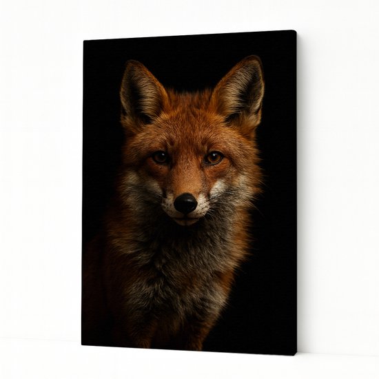 Portrait d'un renard roux au pelage orange et aux accents brun foncé, sur fond noir.