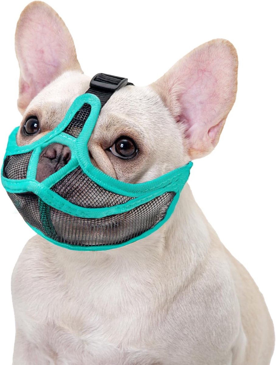 Muilkorf voor brachycefale honden - Mesh-muilkorf - Muilkorf Honden - Zachte mesh-muilkorf - ademende hondenmuilkorf - Verstelbare Mesh Muilkorf - voorkomt eten, bijten, blaffen - Geschikt voor rassen met een platte snuit - Groen, Maat M