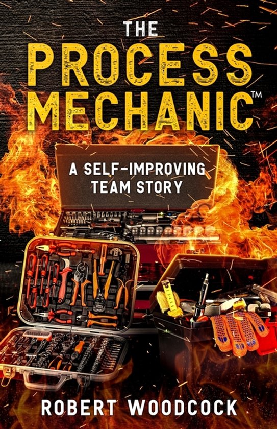 The Process Mechanic(TM) - cover