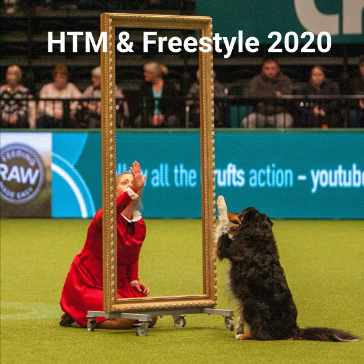 Resultaten Hondendansen HTM Freestyle Crufts 2020