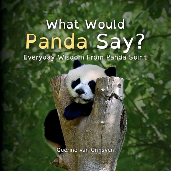 What Would ... Say?- What Would Panda Say? - cover