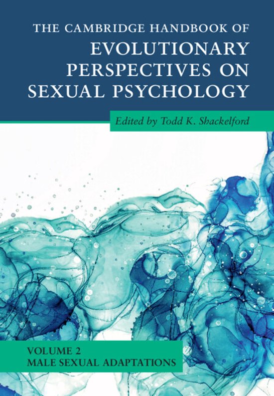 Cambridge Handbooks in Psychology-The Cambridge Handbook of  ... - cover