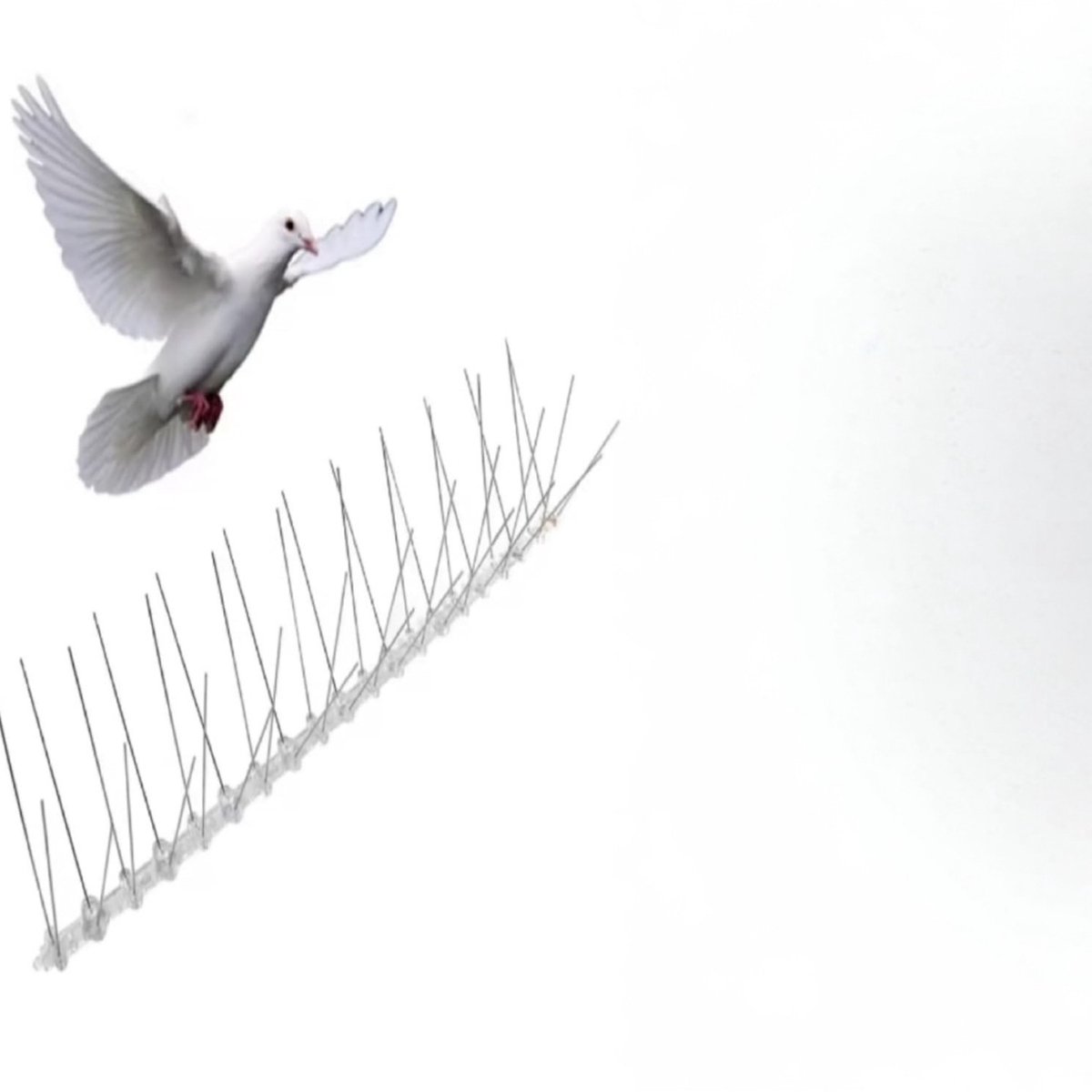 Famanu – Roestvrij stalen duivenafweer | Goed geschikt tegen vogelkraaien - bescherming tegen vogels | Vogelspikes | Robuuste duivenspikes - eenvoudige montage. (6 meter (24 x 25 cm))