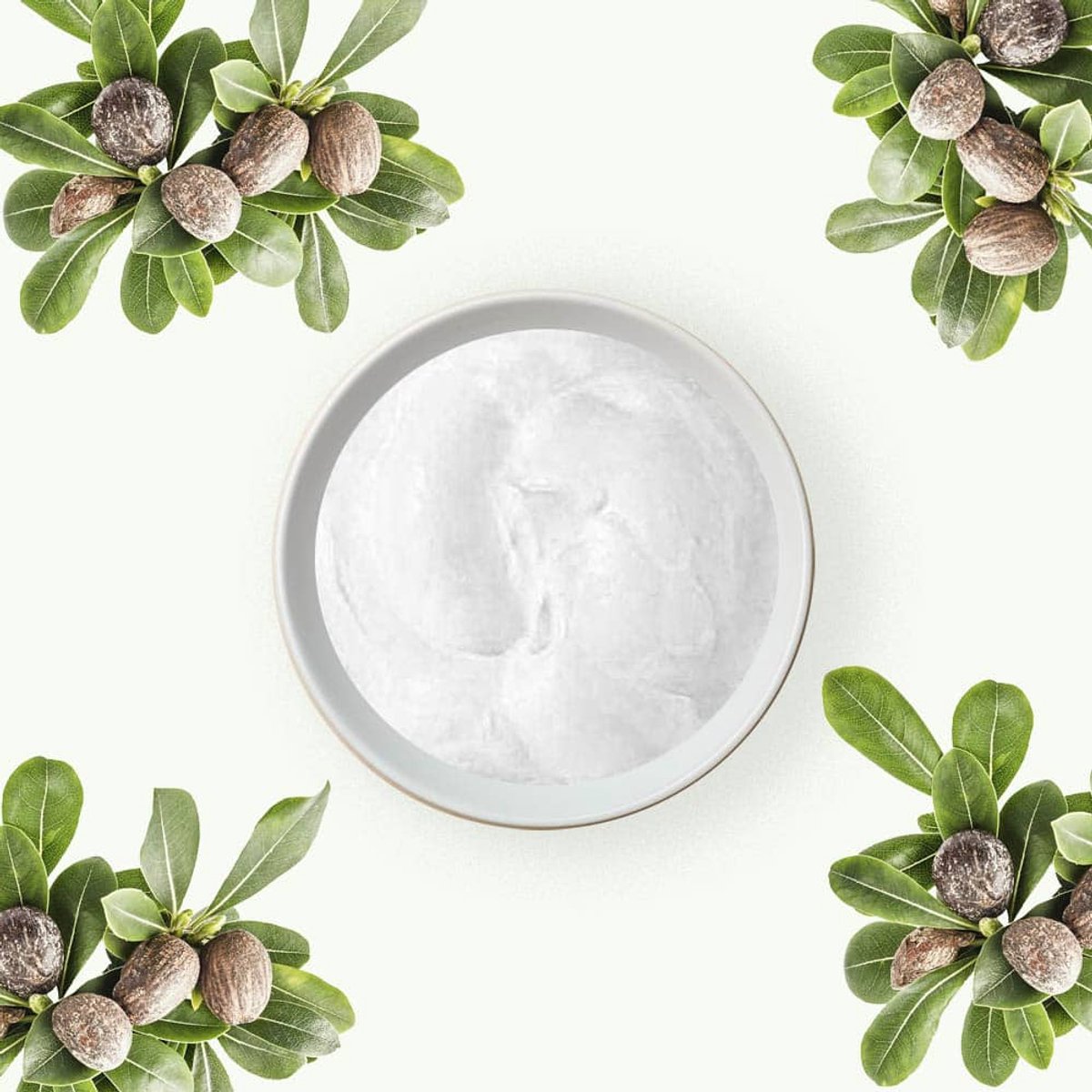 Shea Boter Biologisch – Geraffineerd - 25 kg