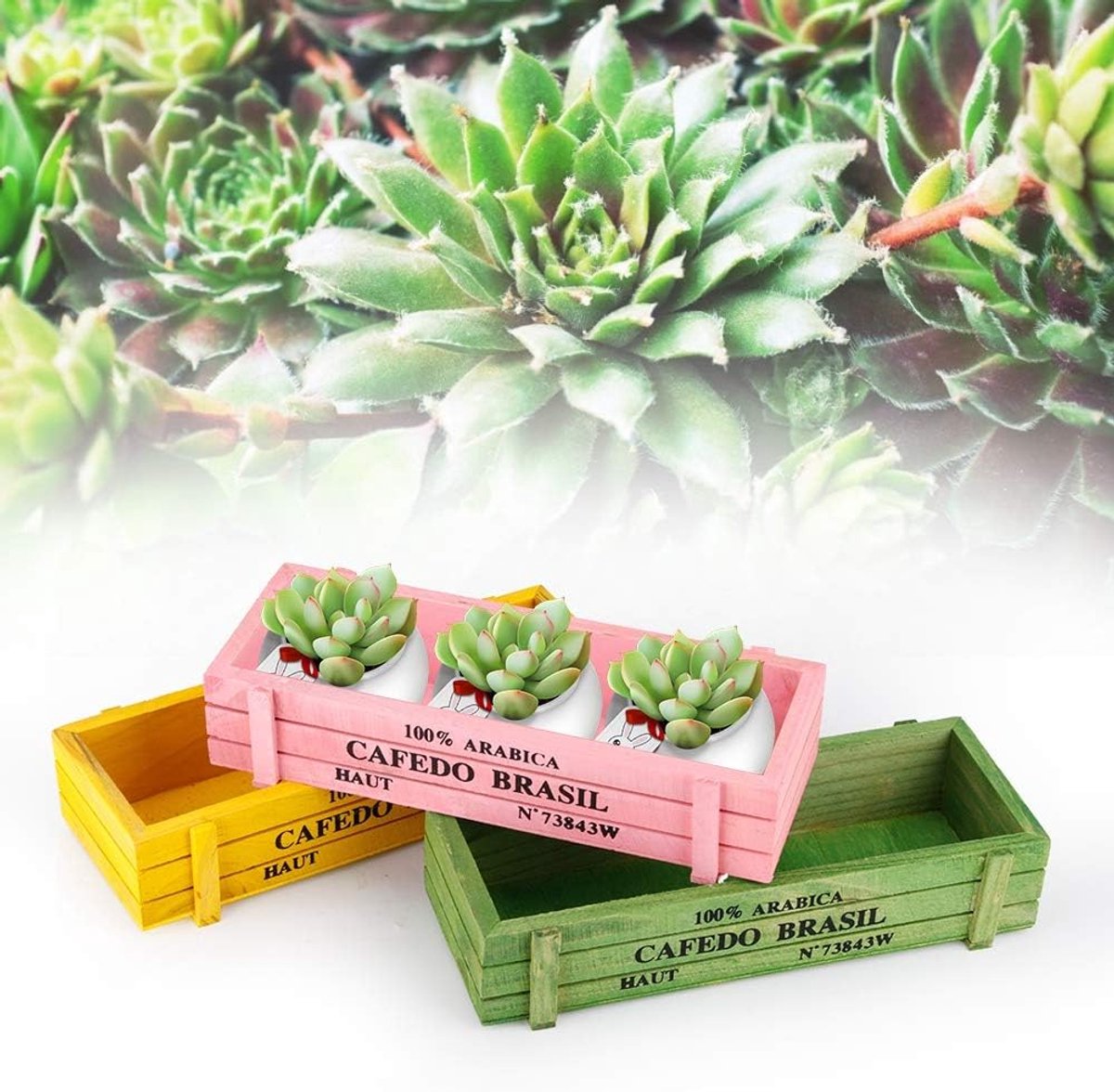 Candala 3 stuks houten plantenbak, rechthoekige plantenbakdozen, rustieke houten kist binnen decoratieve doos met kratstijl voor planten, decoratie en opslag