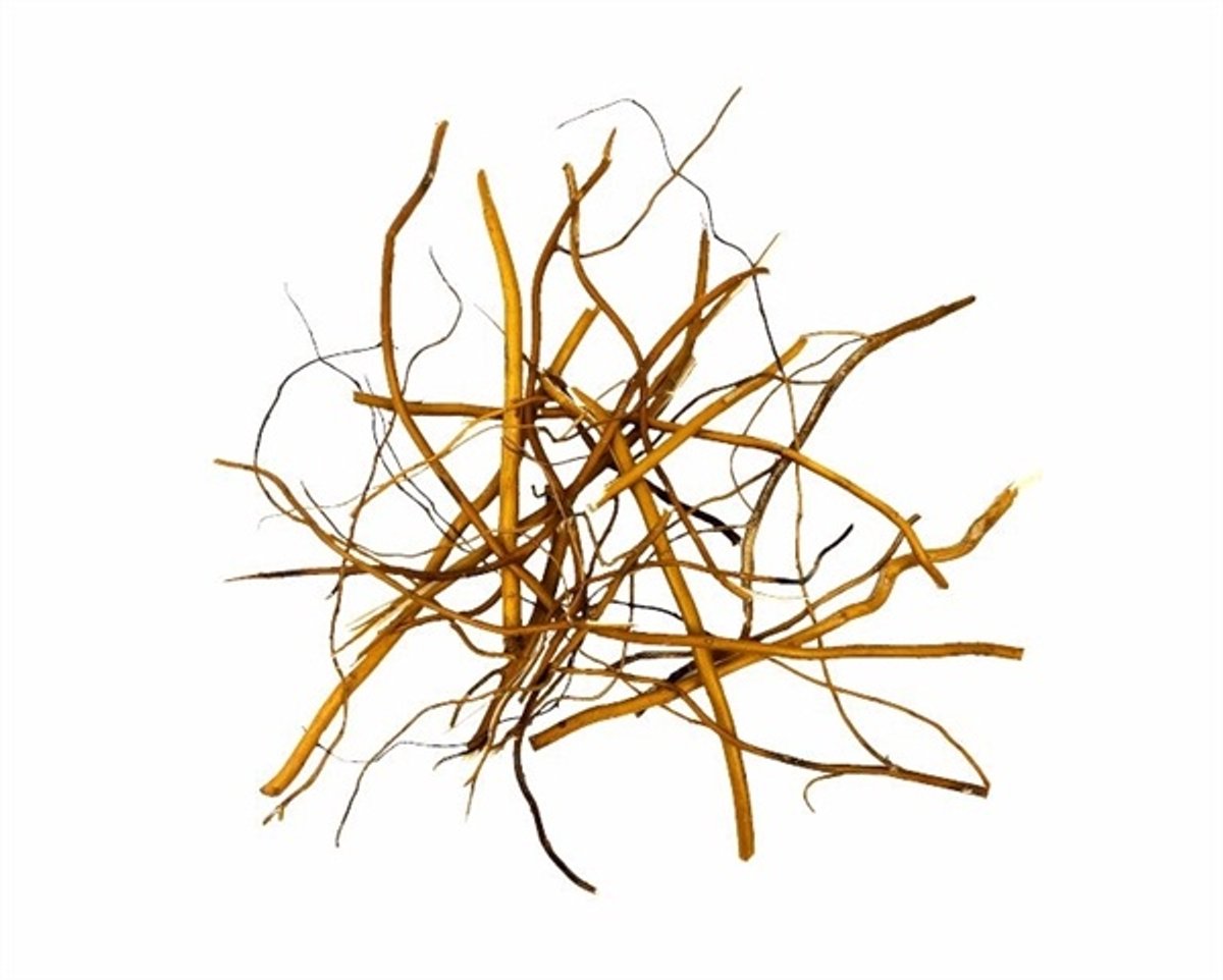 WIO Amber Root Mix 140 Gram