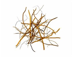WIO Amber Root Mix 140 Gram