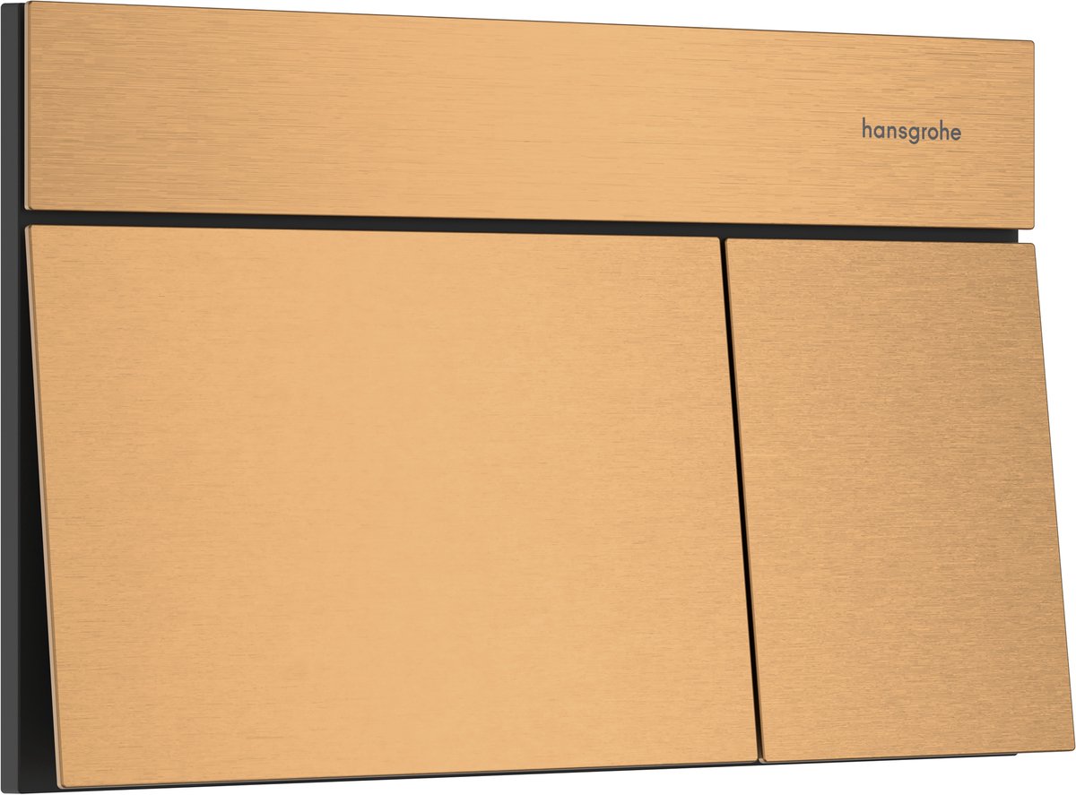 Hansgrohe IFrame Element E Drukplaatvoor - dualflush - brons