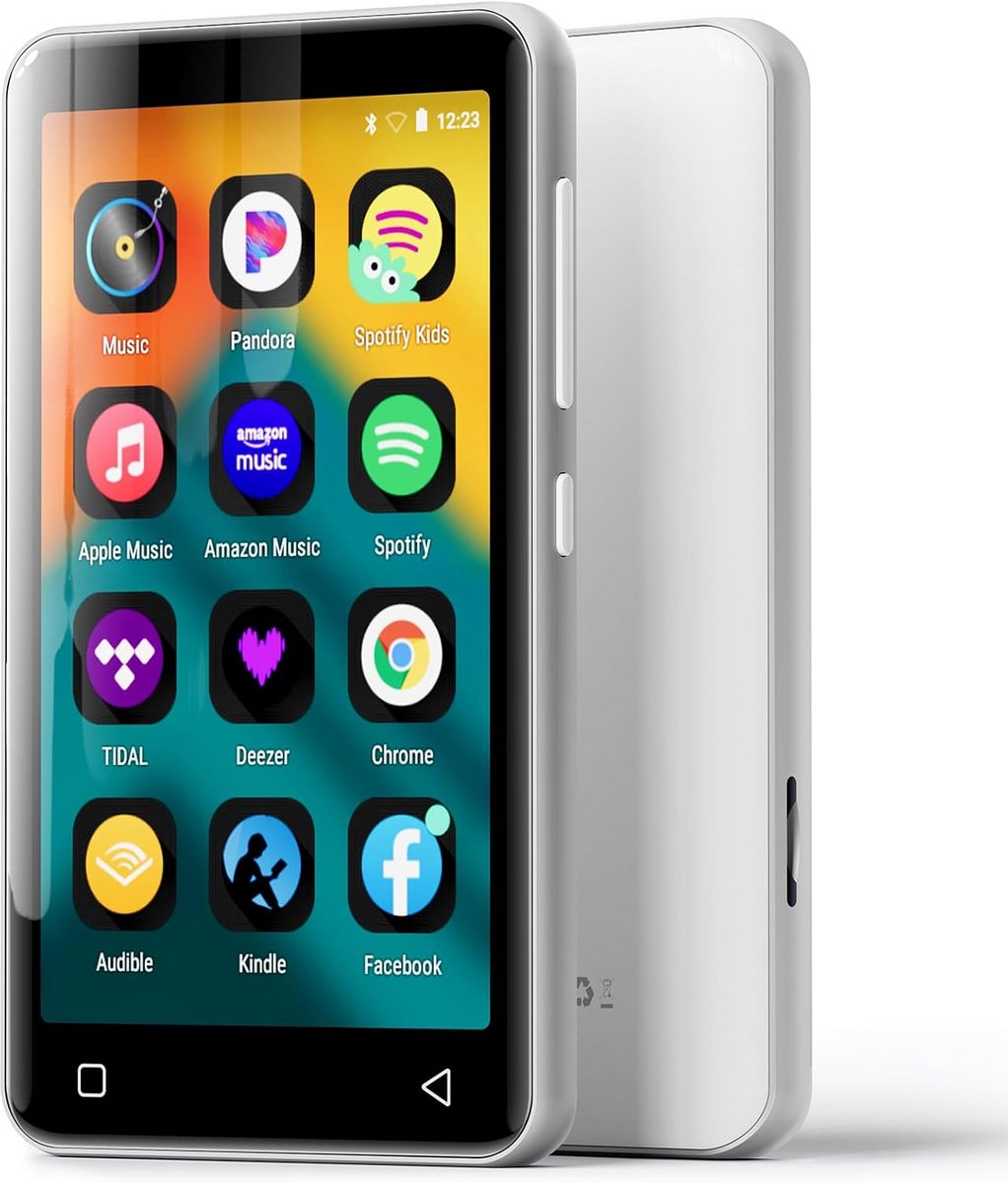 Draadloze Muziekspeler met Bluetooth - Zilver