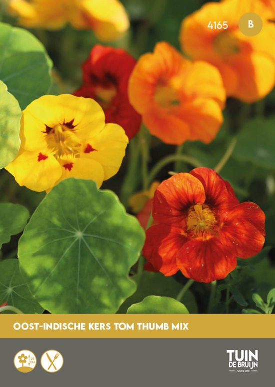 Oost-Indische Kers Zaden Tom Thumb Mix – Lage Nasturtium – Eetbare Bloemen – ±30 Zaden – Compacte Groei – Zomerbloeier – Voor Tuin, Balkon en Pot