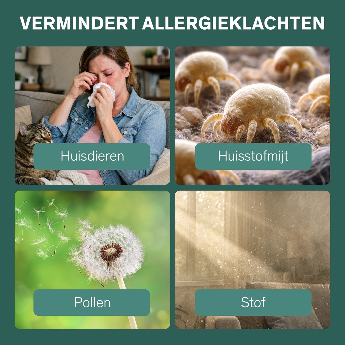 Sinji Luchtreiniger / Air Purifier – HEPA H13 + Koolstoffilter – 220 m³/u, voor ruimtes tot ca. 55 m² – Ionisatie – Afstandsbediening – Timer & Display – Helpt bij stof, pollen & huisstofmijt — afbeelding 5