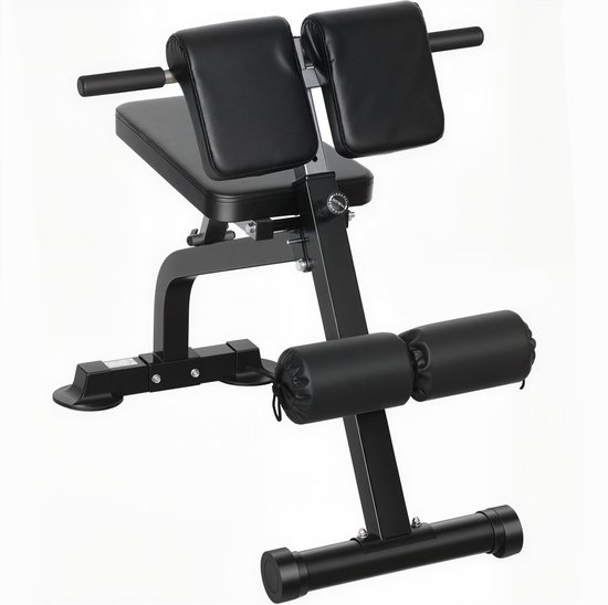 Sportnow Roman Chair-Metaal, PE-96,6L x 68B x 69-110H cm-Zwart