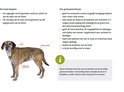 Illustratie van hond met markeringen voor maatadvies zwemvest.