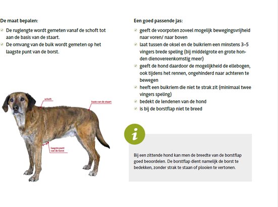 Illustratie van hond met markeringen voor maatadvies zwemvest.