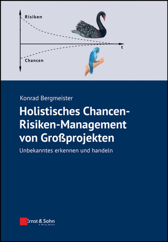 Holistisches Chancen-Risiken-Management von Grossprojekten - cover
