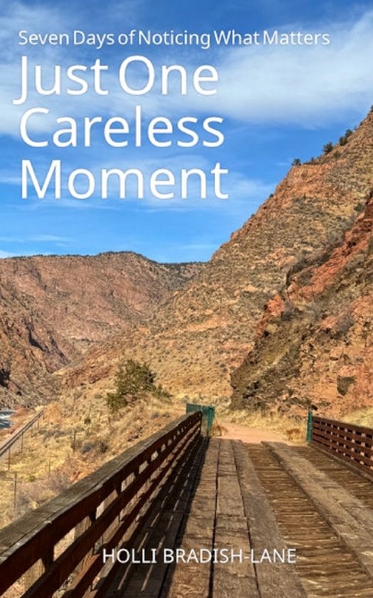 Just One Careless Moment - cover