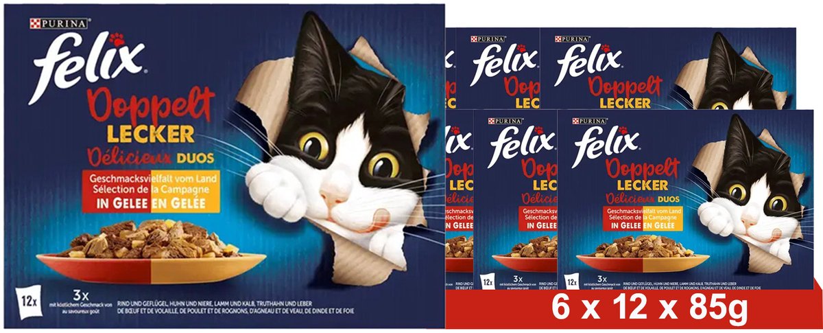 FELIX Zo lekker als het eruit ziet Dubbel lekker vleesmix, nat kattenvoer in gelei (6 x 12 x 85g)