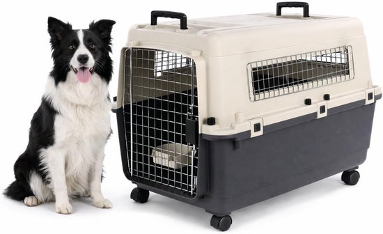 Een zittende bordercollie naast een donkergrijze en crèmekleurige transportbox met metalen deur en wielen.