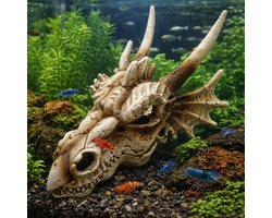 AC Draken Schedel Fantasy DeLuxe – Meest verkocht – Unieke Aquarium en Terrarium Decoratie – Realistisch Polyresin Ornament