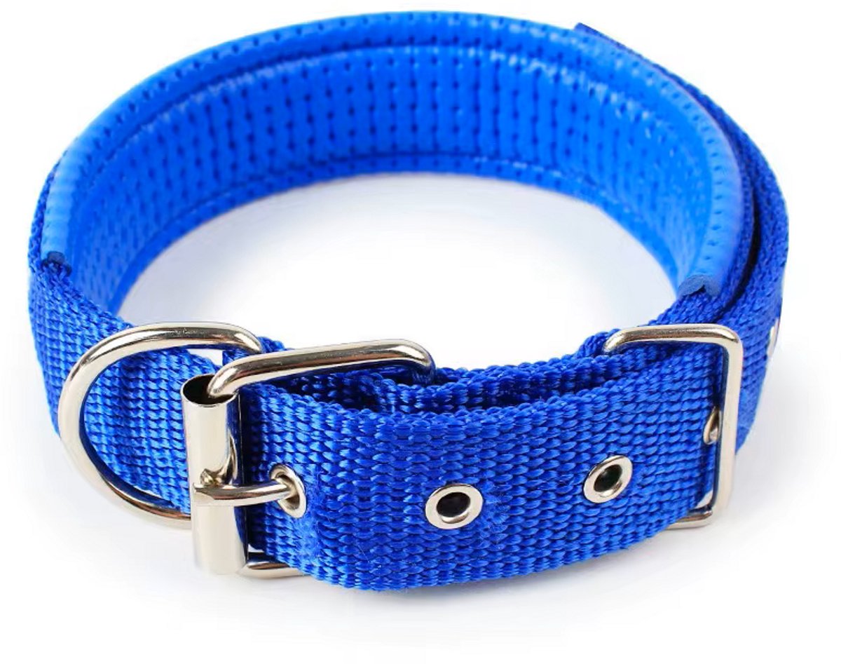 Dierboetiek Verstelbare Nylon Hondenhalsband - Blauw - L