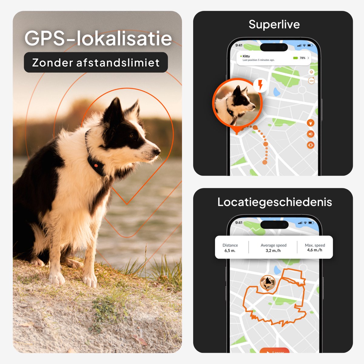 Weenect Dog XT Orange Collar - NIEUWE GPS-hondenhalsband | XL-antenne | Waterdicht | Ultra-duurzame geïntegreerde Julius-K9-halsband | Abonnement vereist | Levenslange garantie thumbnail 5