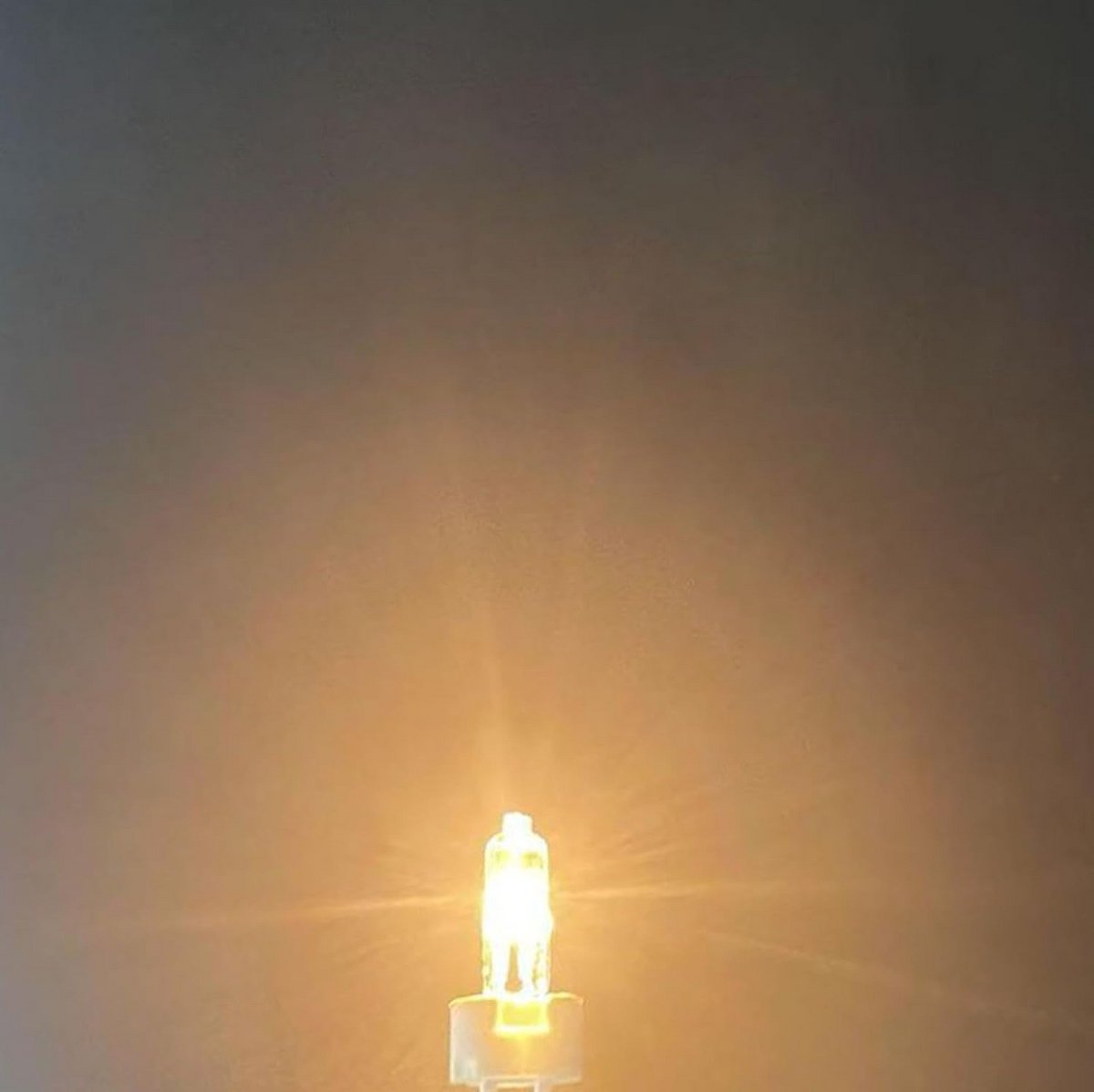 G9 Halogeenlamp 230V Dimbaar Warm Wit Capsule Basisverlichting