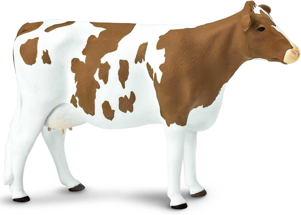 Figuurlijke Boerderijdier: Ayrshirerund Kalf