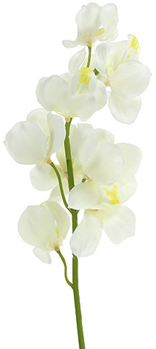 Viana Orchidee kunst crème 50cm 6st, 6 Stück Wit