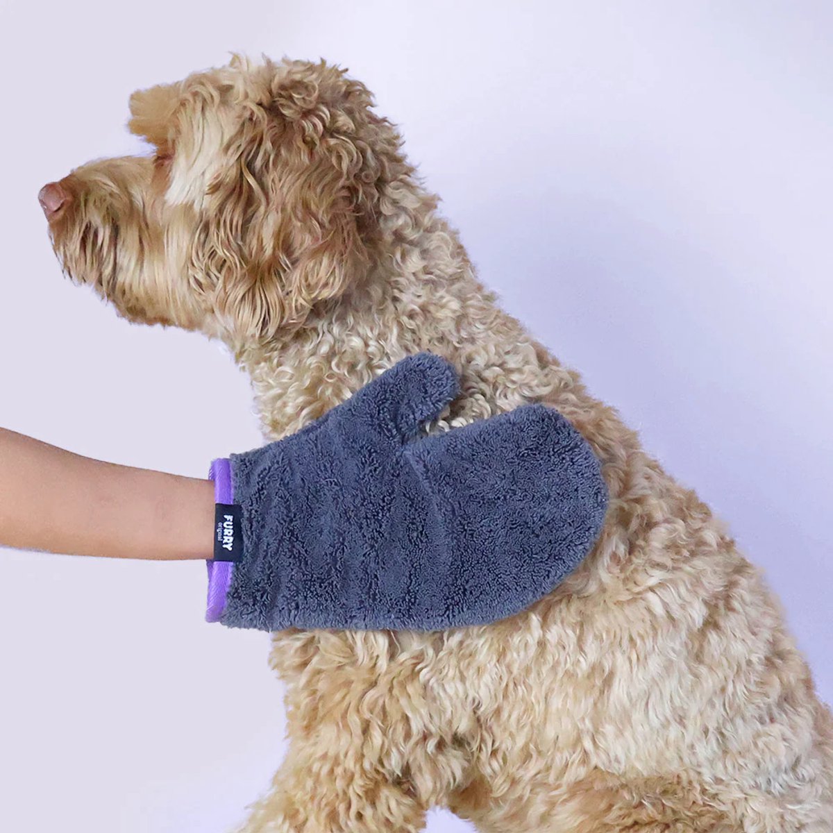 Furry Original® Droog Handschoen - Rustgevend Alternatief voor Droogdoek - Ideaal voor Poten, Baard en Buik - Sneldrogend, Super Absorberend en Zacht - Microvezel Handdoek - Labradoodle & Andere Honden - Kleine Pet Towel - Verzorging Hond - Antraciet