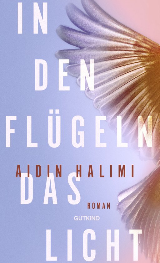 Boekomslag met de titel 'In den Flügeln das Licht' en een afbeelding van grote, veren vleugels die vervagen in oranje en paars.