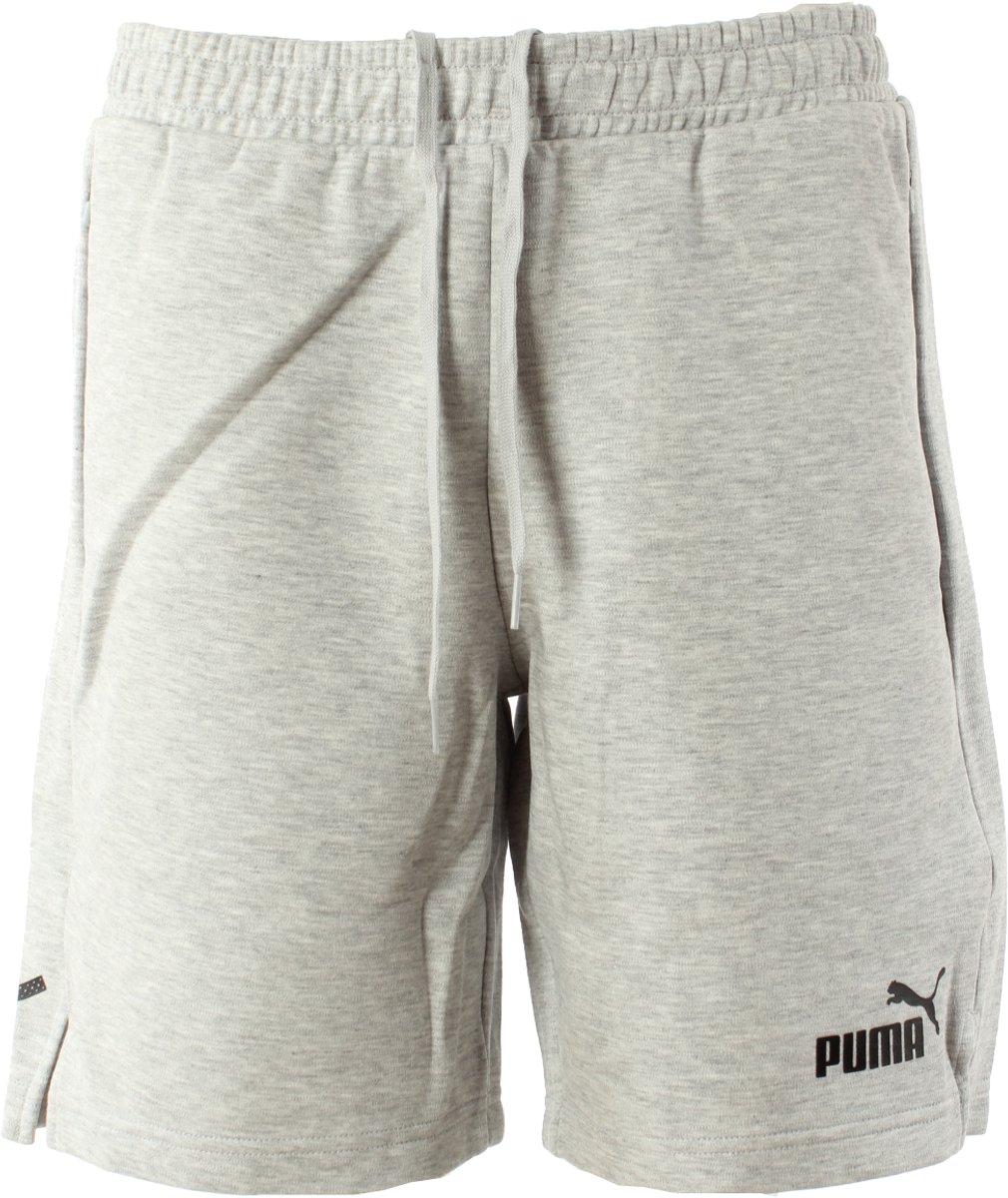 Puma korte broek teamFINAL drycell Grijs