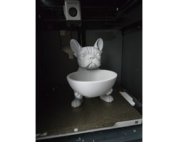 FRANSE BULLDOG