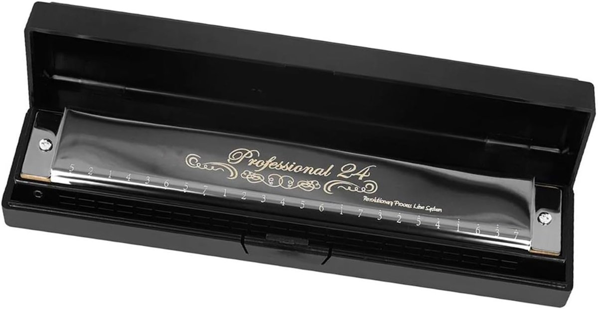 Mondharmonica Set - Muziek Instrument - Beginners Leren - 24 Gaten C Toon - Met Koffer - Zilver