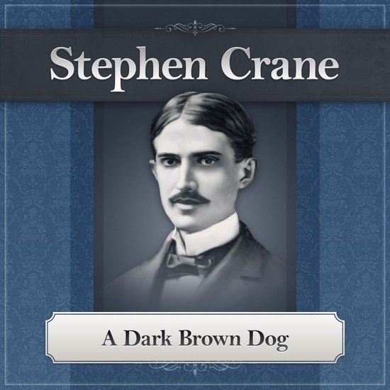 A Dark Brown Dog by Stephen Crane - cover