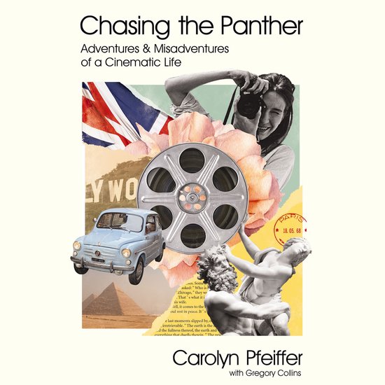 Chasing the Panther - cover