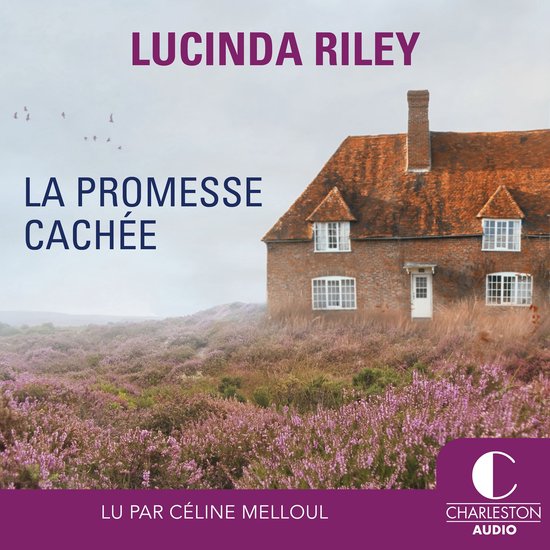 La promesse cachée - cover